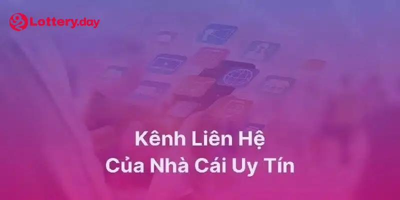 Liên hệ